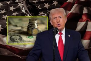 WhatsApp Image 2026-01-23 at 4.29.45 PM