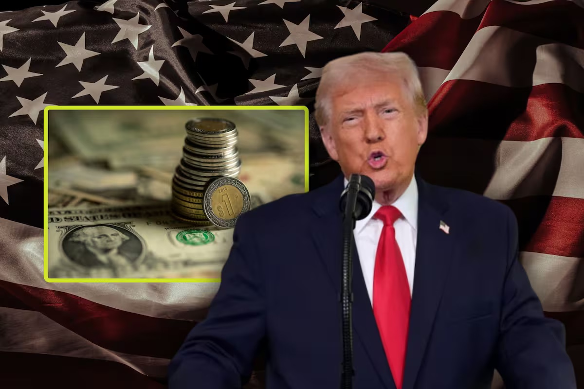 WhatsApp Image 2026-01-23 at 4.29.45 PM