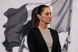 WhatsApp Image 2026-01-23 at 4.52.00 PM